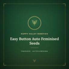 Easy Button Auto Feminised Seeds Easy Button Auto Feminised Seeds