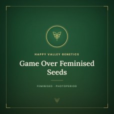Game Over Feminised Seeds Game Over Feminised Seeds