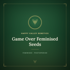 Game Over Feminised Seeds Game Over Feminised Seeds