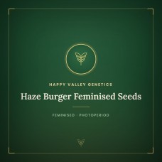 Haze Burger Feminised Seeds Haze Burger Feminised Seeds