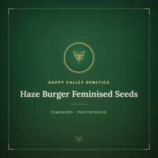 Haze Burger Feminised Seeds Haze Burger Feminised Seeds