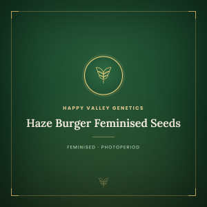 Haze Burger Feminised Seeds Haze Burger Feminised Seeds