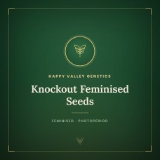 Knockout Feminised Seeds
