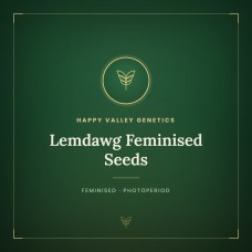 Lemdawg Feminised Seeds