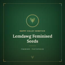 Lemdawg Feminised Seeds Lemdawg Feminised Seeds