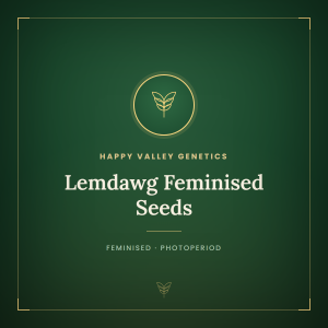 Lemdawg Feminised Seeds Lemdawg Feminised Seeds