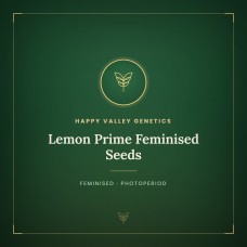 Lemon Prime Feminised Seeds