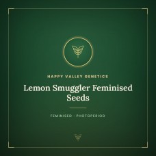 Lemon Smuggler Feminised Seeds