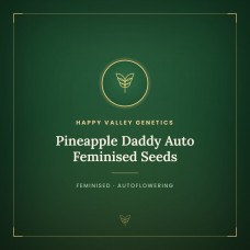 Pineapple Daddy Auto Feminised Seeds Pineapple Daddy Auto Feminised Seeds