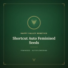 Shortcut Auto Feminised Seeds Shortcut Auto Feminised Seeds