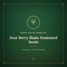 Sour Berry Shake Feminised Seeds Sour Berry Shake Feminised Seeds