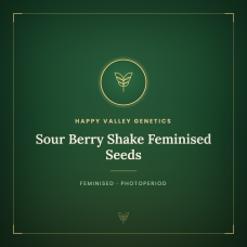 Sour Berry Shake Feminised Seeds Sour Berry Shake Feminised Seeds