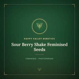 Sour Berry Shake Feminised Seeds Sour Berry Shake Feminised Seeds
