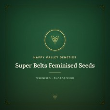 Super Belts Feminised Seeds Super Belts Feminised Seeds