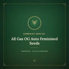 All Gas OG Auto Feminised Seeds All Gas OG Auto Feminised Seeds