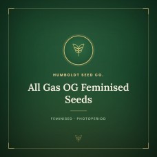 All Gas OG Feminised Seeds All Gas OG Feminised Seeds