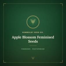 Apple Blossom Feminised Seeds Apple Blossom Feminised Seeds