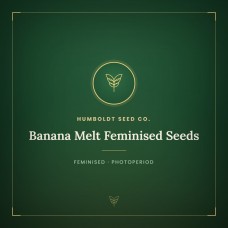 Banana Melt Feminised Seeds Banana Melt Feminised Seeds