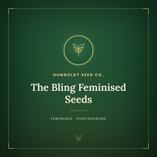 The Bling Feminised Seeds The Bling Feminised Seeds