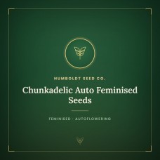 Chunkadelic Auto Feminised Seeds Chunkadelic Auto Feminised Seeds