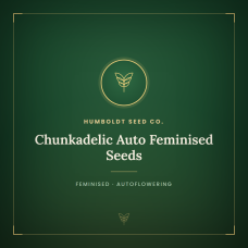 Chunkadelic Auto Feminised Seeds Chunkadelic Auto Feminised Seeds