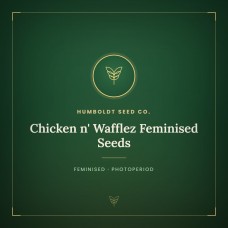 Chicken n' Wafflez Feminised Seeds Chicken n' Wafflez Feminised Seeds