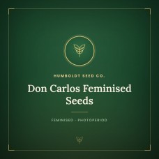Don Carlos Feminised Seeds Don Carlos Feminised Seeds