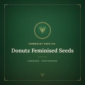 Donutz Feminised Seeds