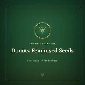 Donutz Feminised Seeds Donutz Feminised Seeds