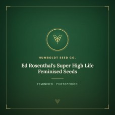 Ed Rosenthal's Super High Life Feminised Seeds Ed Rosenthal's Super High Life Feminised Seeds