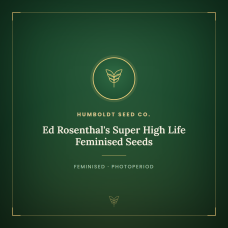 Ed Rosenthal's Super High Life Feminised Seeds Ed Rosenthal's Super High Life Feminised Seeds