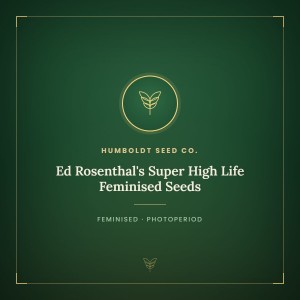 Ed Rosenthal's Super High Life Feminised Seeds Ed Rosenthal's Super High Life Feminised Seeds