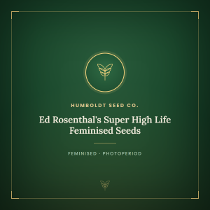 Ed Rosenthal's Super High Life Feminised Seeds Ed Rosenthal's Super High Life Feminised Seeds