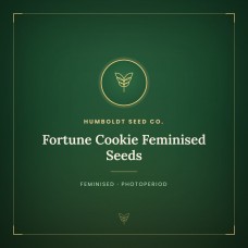 Fortune Cookie Feminised Seeds Fortune Cookie Feminised Seeds