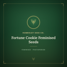 Fortune Cookie Feminised Seeds Fortune Cookie Feminised Seeds