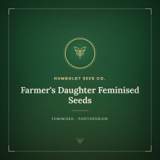 Farmer's Daughter Feminised Seeds Farmer's Daughter Feminised Seeds
