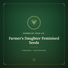 Farmer's Daughter Feminised Seeds Farmer's Daughter Feminised Seeds