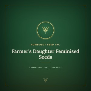 Farmer's Daughter Feminised Seeds