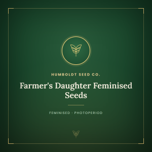 Farmer's Daughter Feminised Seeds Farmer's Daughter Feminised Seeds