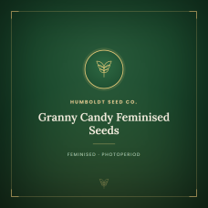 Granny Candy Feminised Seeds Granny Candy Feminised Seeds