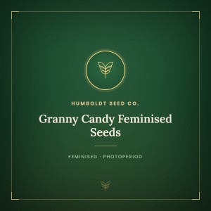 Granny Candy Feminised Seeds