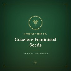 Guzzlerz Feminised Seeds Guzzlerz Feminised Seeds