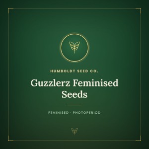 Guzzlerz Feminised Seeds