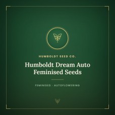 Humboldt Dream Auto Feminised Seeds Humboldt Dream Auto Feminised Seeds