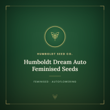 Humboldt Dream Auto Feminised Seeds Humboldt Dream Auto Feminised Seeds