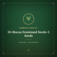 Hi-Biscus Feminised Seeds-3 Seeds Hi-Biscus Feminised Seeds-3 Seeds