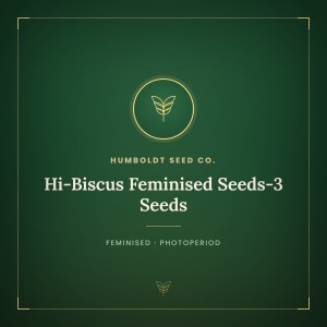Hi-Biscus Feminised Seeds-3 Seeds Hi-Biscus Feminised Seeds-3 Seeds