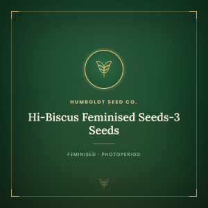Hi-Biscus Feminised Seeds-3 Seeds Hi-Biscus Feminised Seeds-3 Seeds