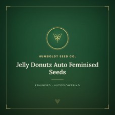 Jelly Donutz Auto Feminised Seeds Jelly Donutz Auto Feminised Seeds