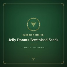Jelly Donutz Feminised Seeds Jelly Donutz Feminised Seeds